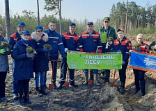 Участие Калинковичских железнодорожников в республиканской добровольной акции «Неделя леса»