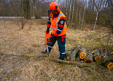 Вальщик леса Гомельской дистанции защитных лесонасаждений – лучший по профессии