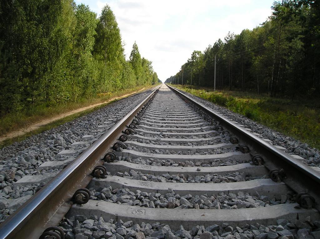 С обеих сторон железной дороги. Дистанция пути. Железнодорожные защитные лесонасаждения. Белорусская ЖД дорога. БЖД железная дорога.